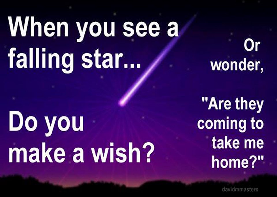When you see a falling star do you make a wish or wonder