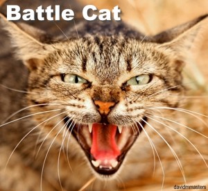 battle cat