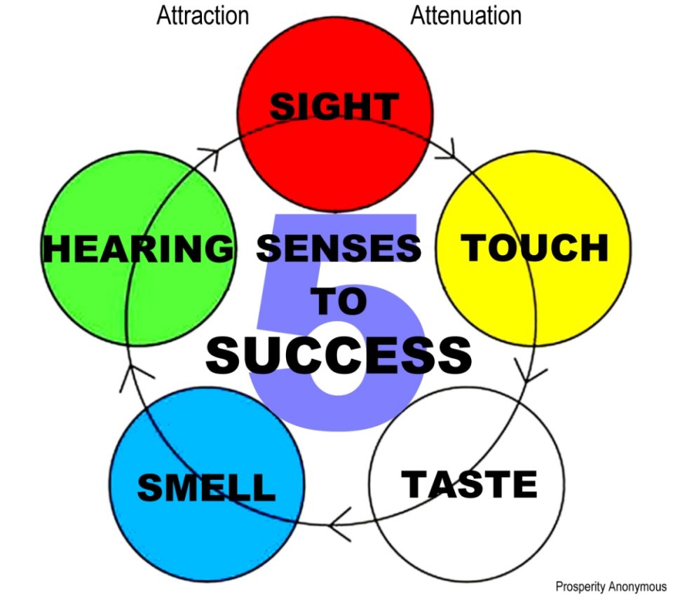 5 senses to success attraction attenuation prosperity