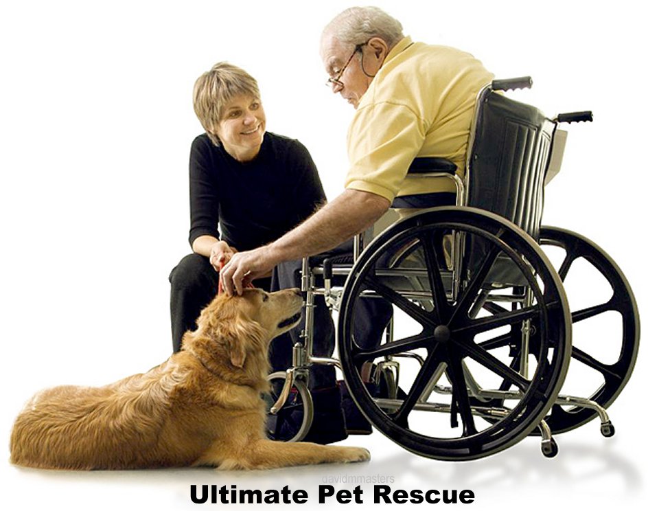 Ultimate pet rescue matching at risk dogs and cats with pet parents in need