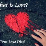 What is love if true love dies romantic love signs your marriage is over