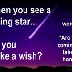 When you see a falling star do you make a wish or wonder