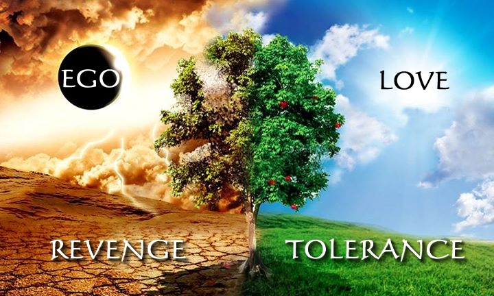 revenge-vs-tolerance-ego-and-love